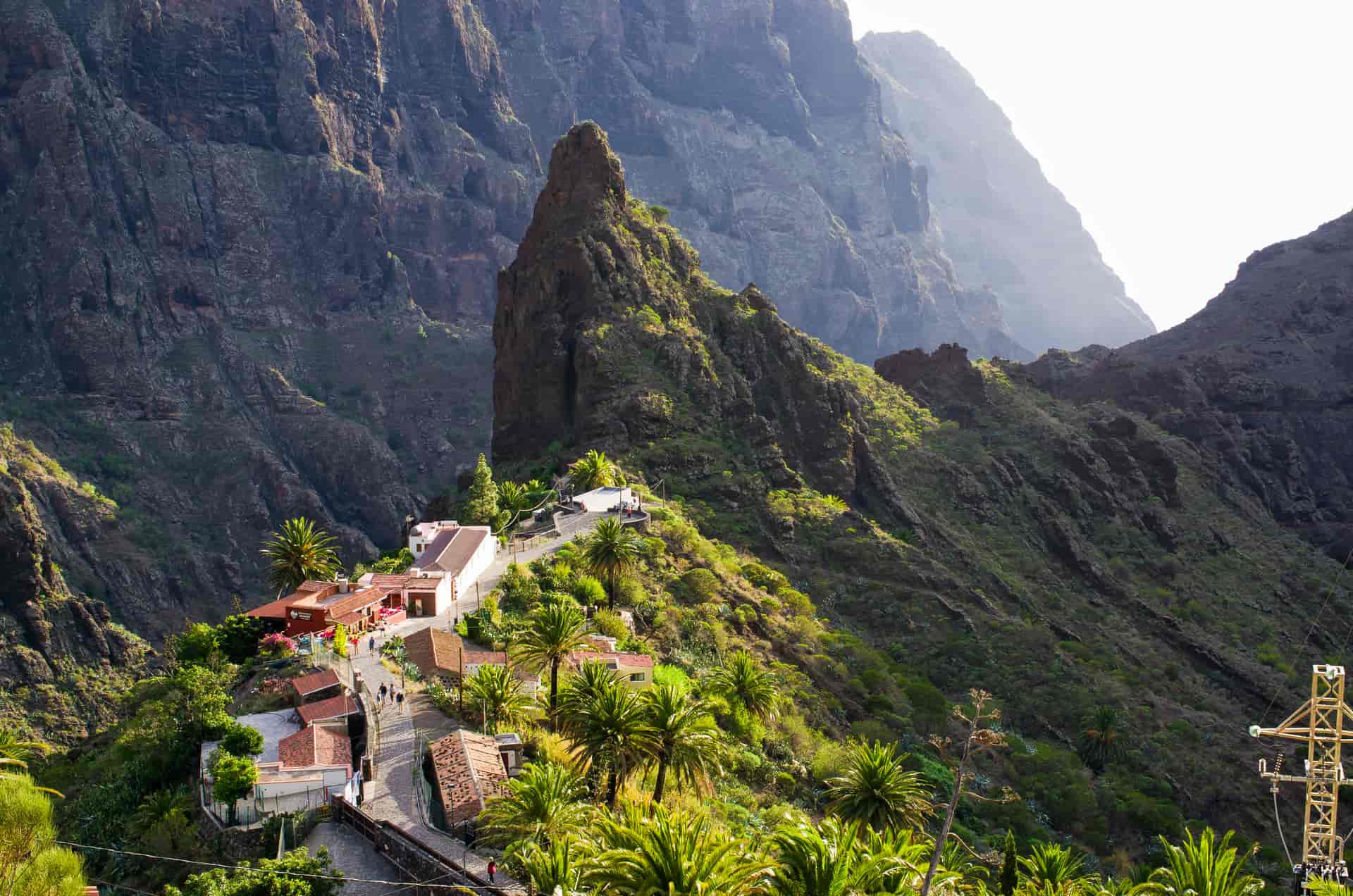 Village buildings nestled in steep green mountainsides with palm trees in Masca village on Tenerife.