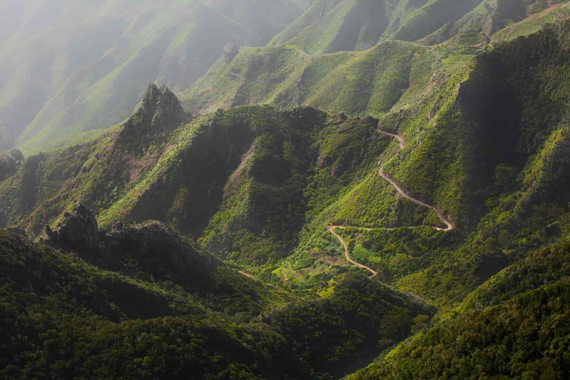 Winding road through lush green, misty mountains in Tenerife.