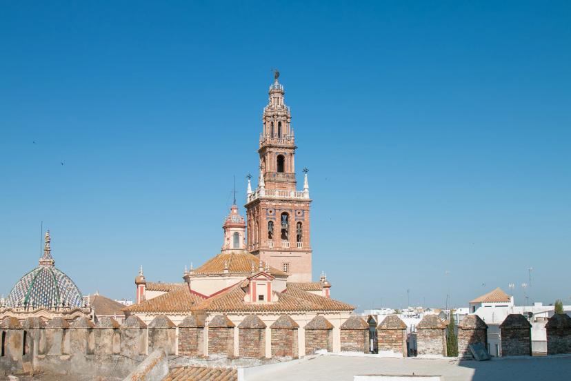 Carmona image 1