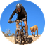 Mountain biker and yellow dog hiking on rocky terrain under bright blue sky