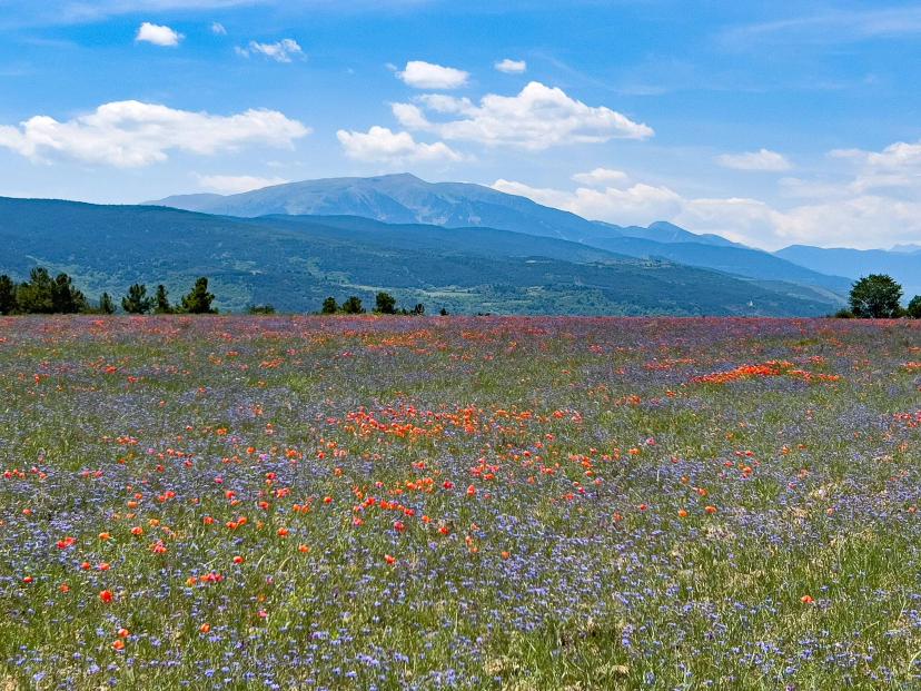 La Cerdanya Plateau image 1