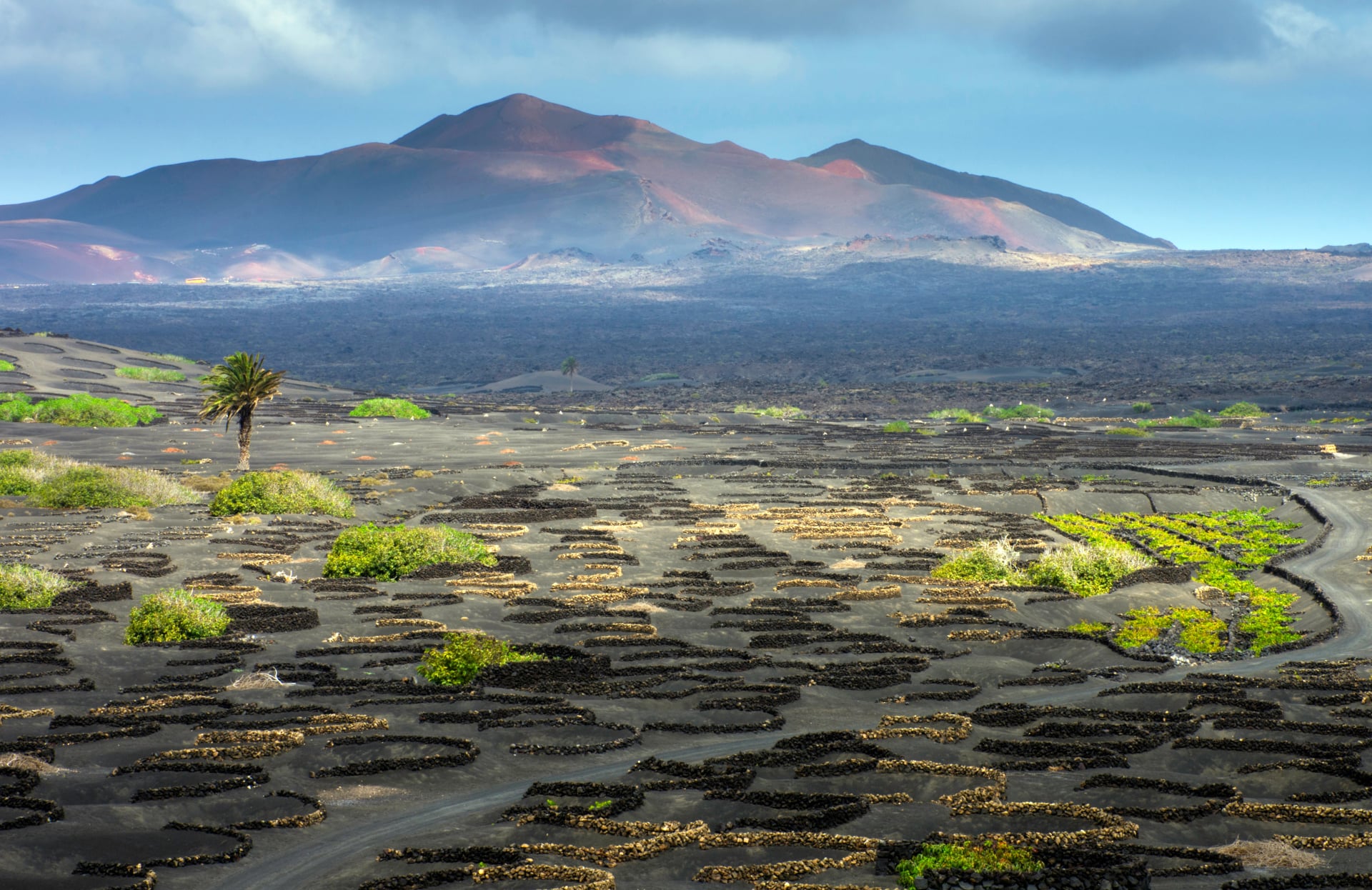 Vin-dalen i La Geria / Lanzarote / De Kanariske Øer