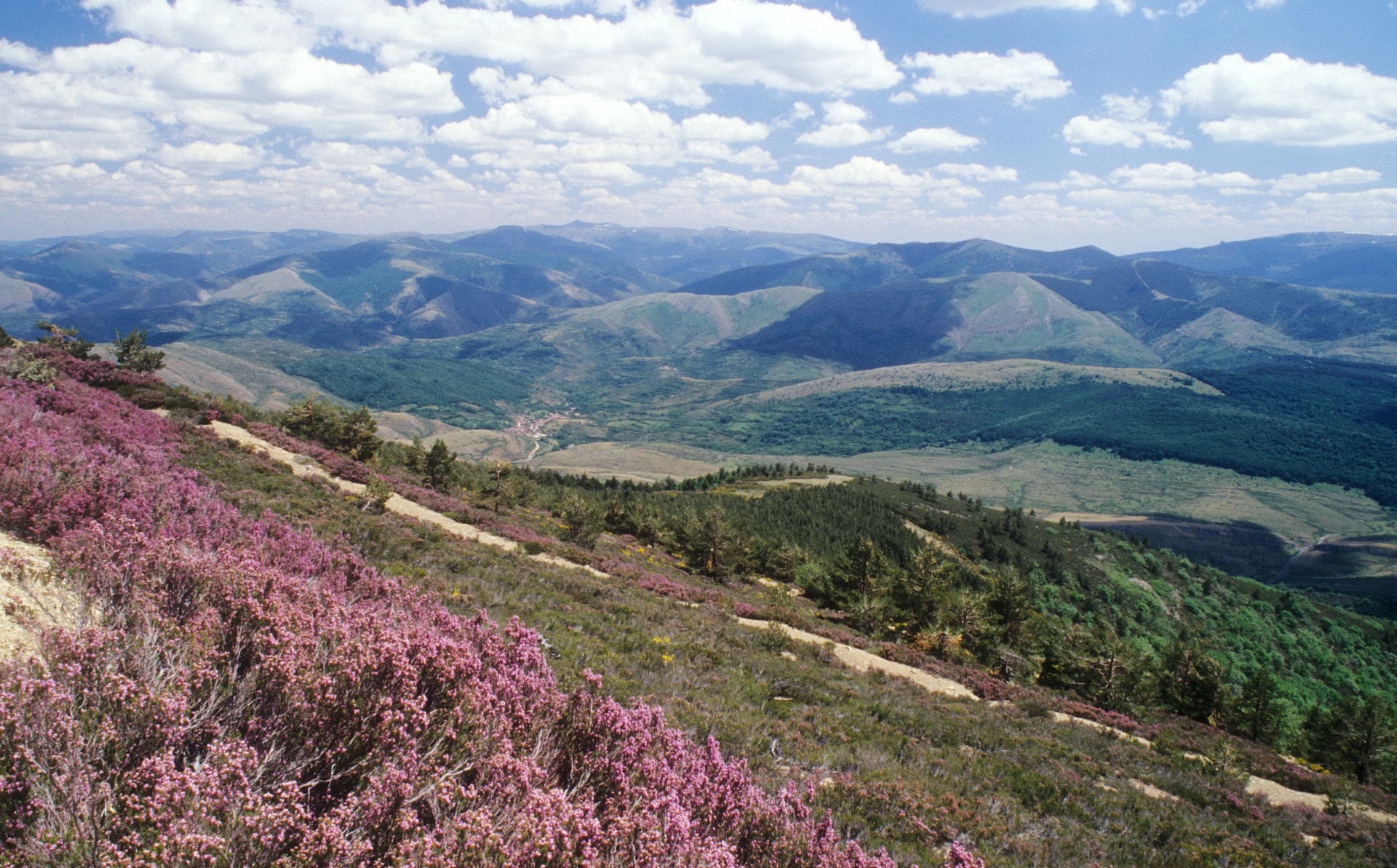 Emporda