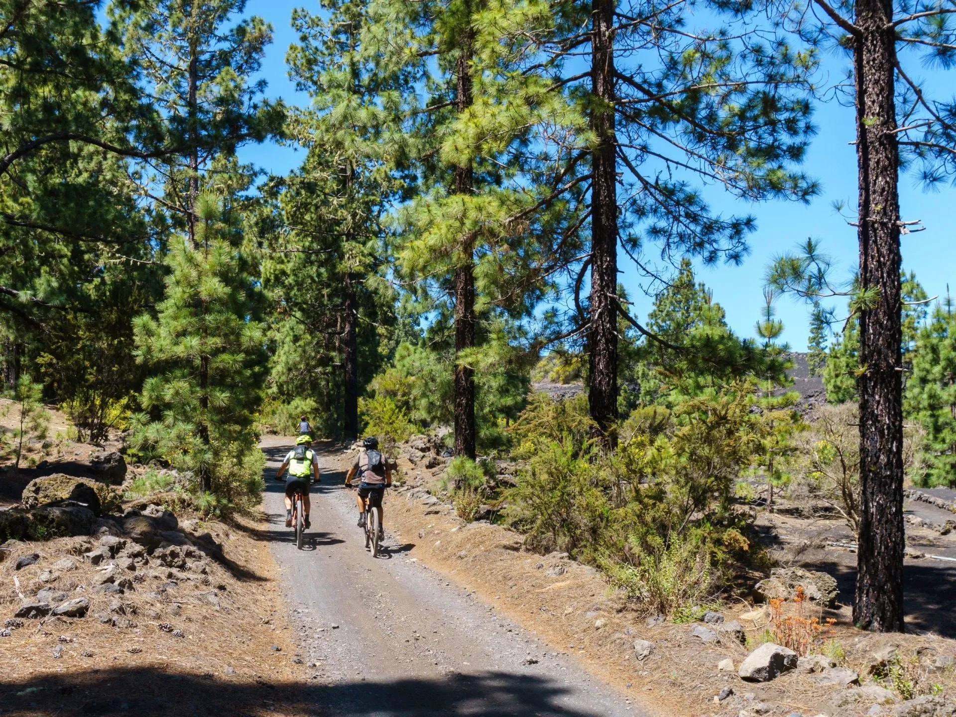 MTB Fietstocht Tenerife