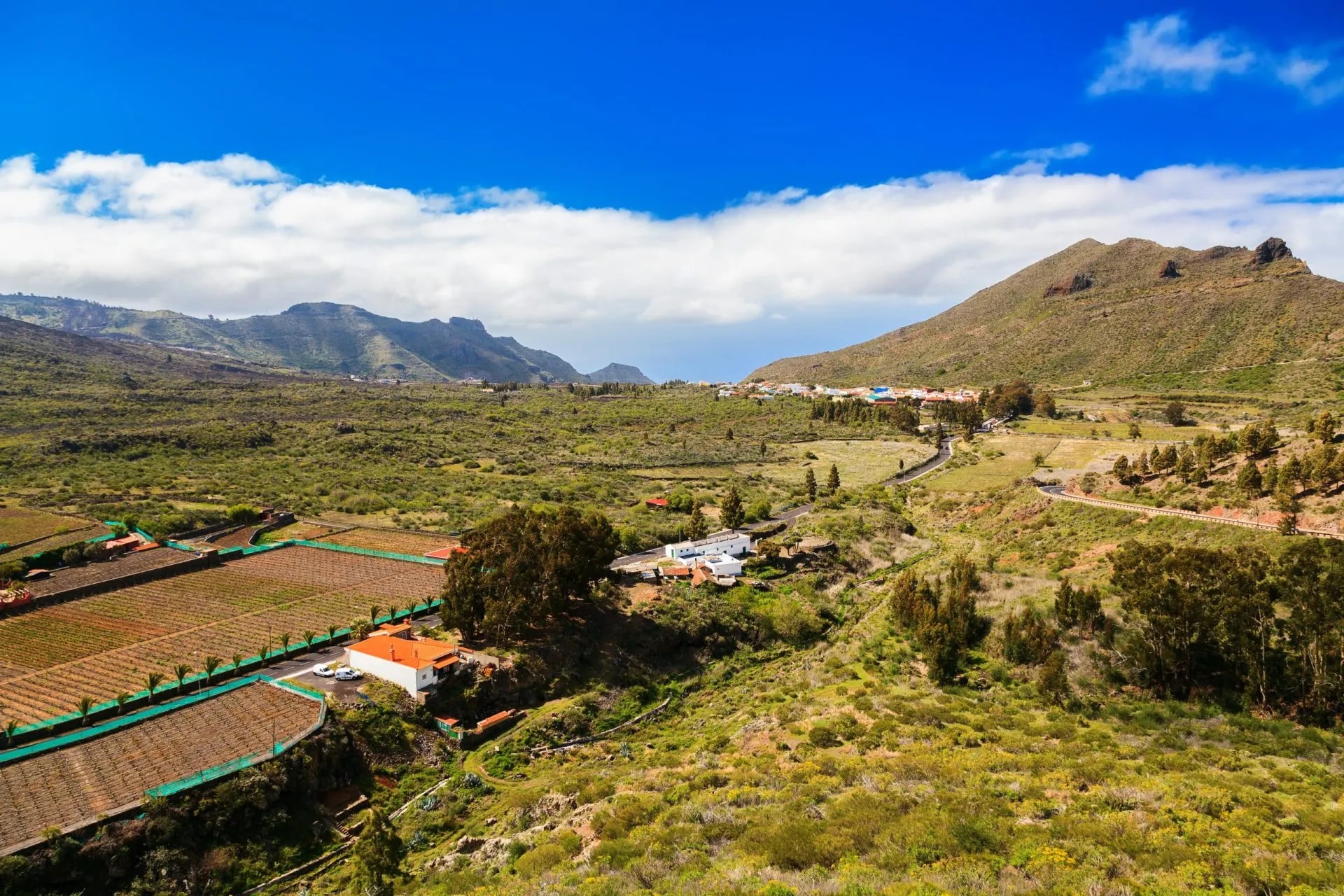 Arid valley landscape with vineyards and village near Santiago del Teide under blue sky.