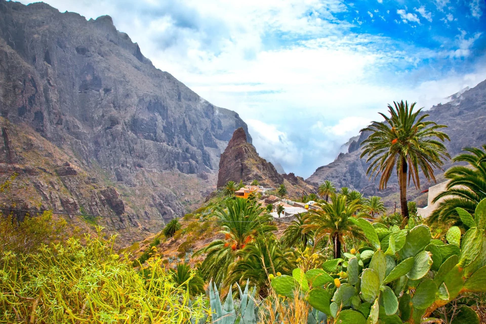 Masca village in Tenerife, Canary Islands, nestled among steep mountains with palm trees and cacti.