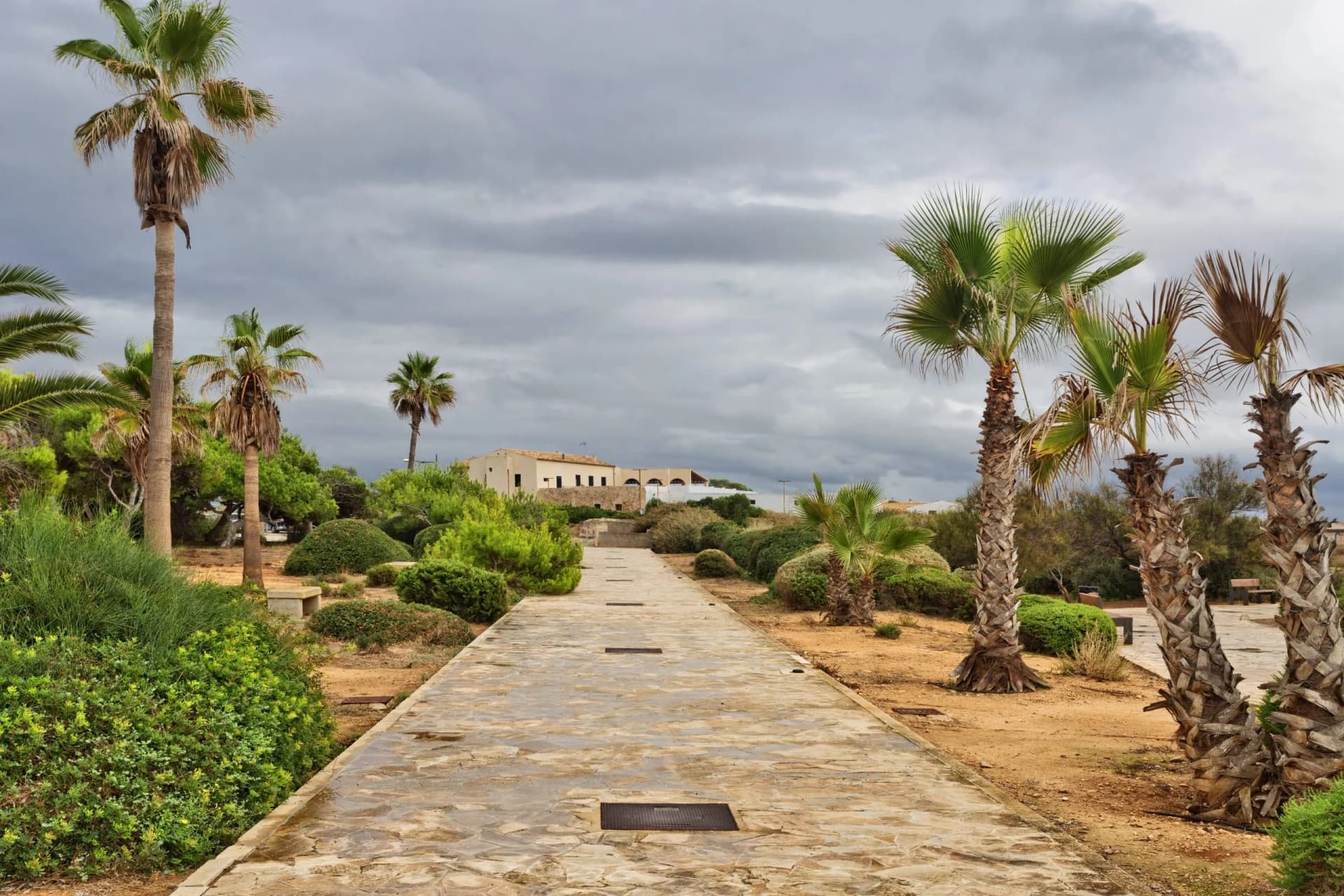 Stone walkway along the playa des Cabots with palm trees under gloomy weather in Colonia Sant Jordi, Mallorca.