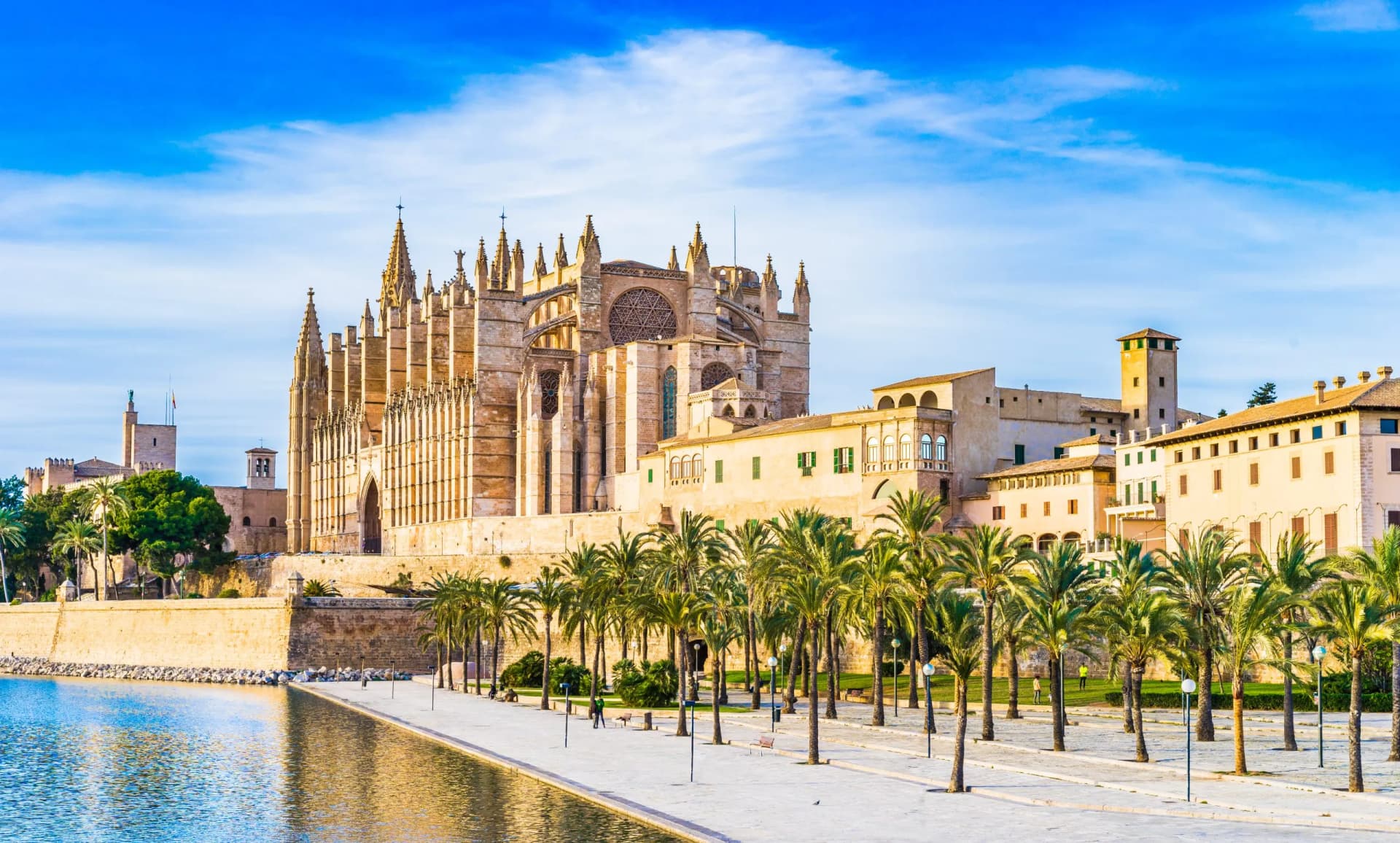 Cathedral of Majorca in Palma, Spain, with palm trees along the waterfront promenade under a blue sky.