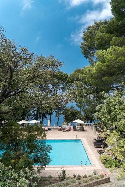 Swimming pool terrace overlooking the sea, surrounded by lush green trees under a blue sky.