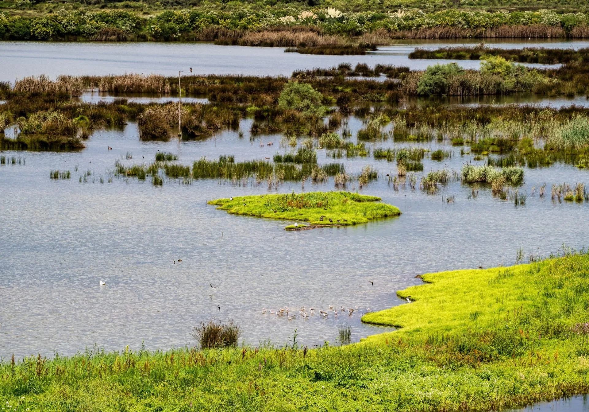 Urdaibai Birdcenter in Basque country, Spain, Europe