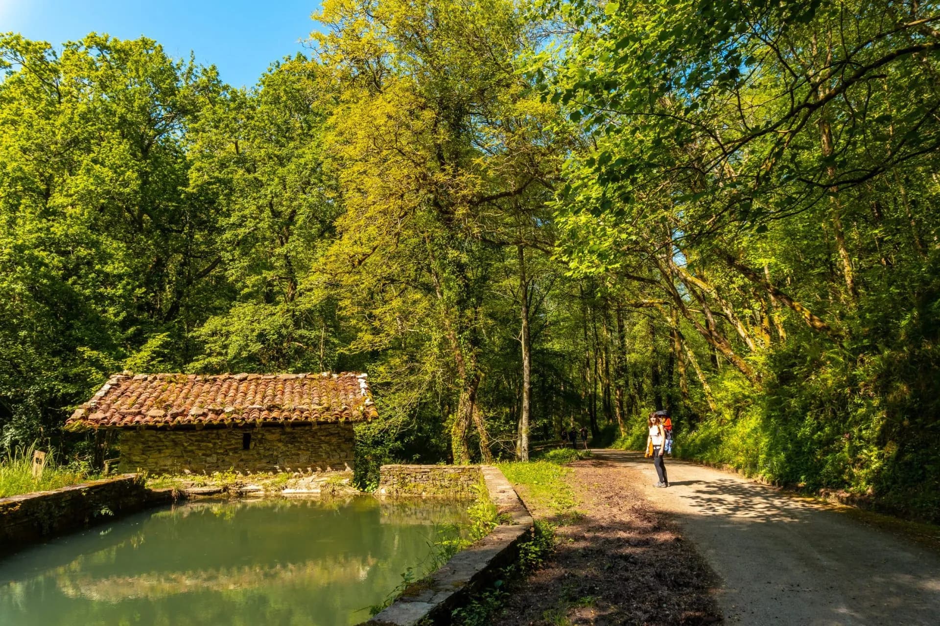 A young woman visiting the Pagoeta park in Aia, Guipuzcoa. Basque Country