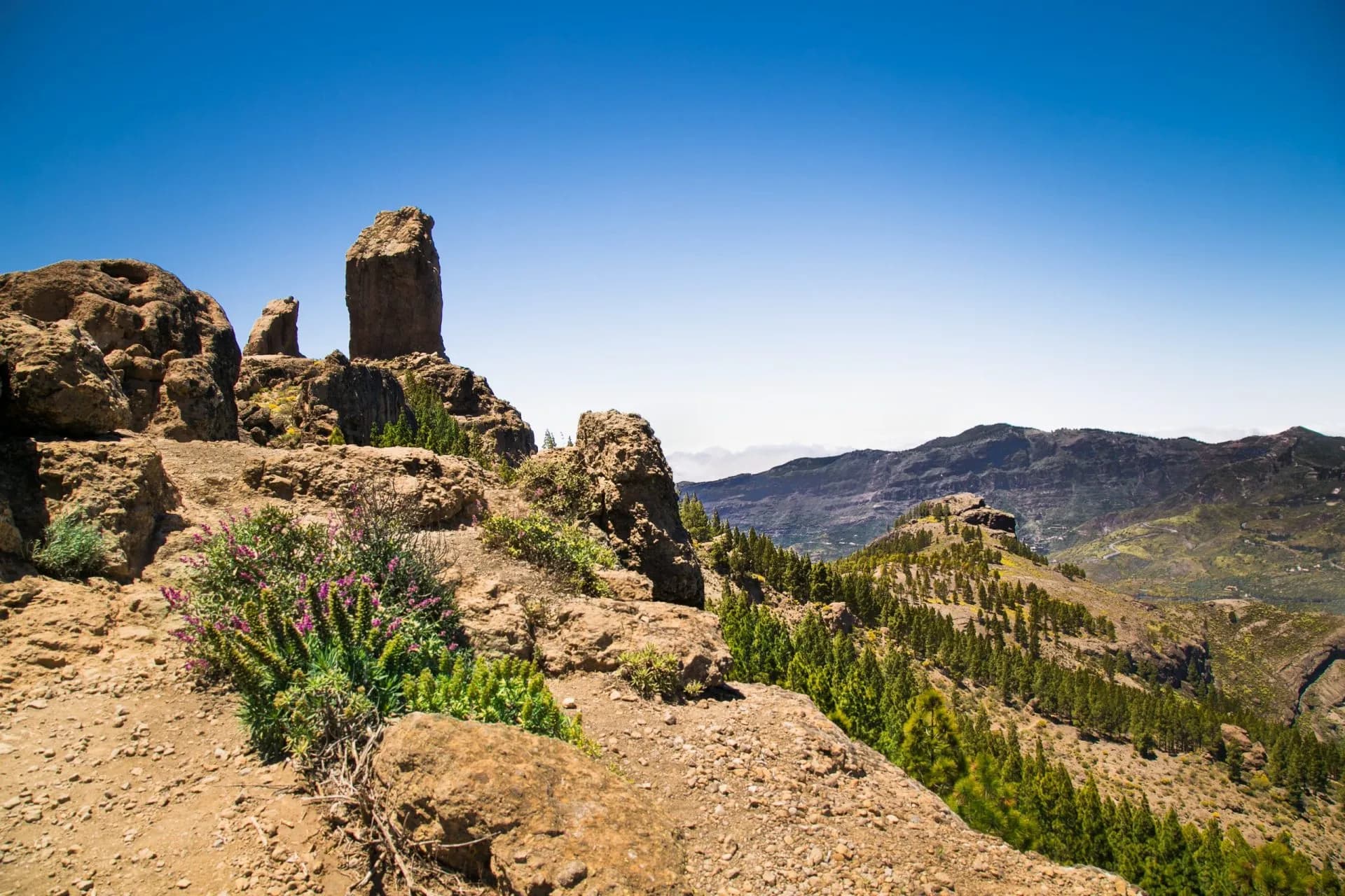 Pico de las Nieves the highest point on Gran Canaria , Spain.