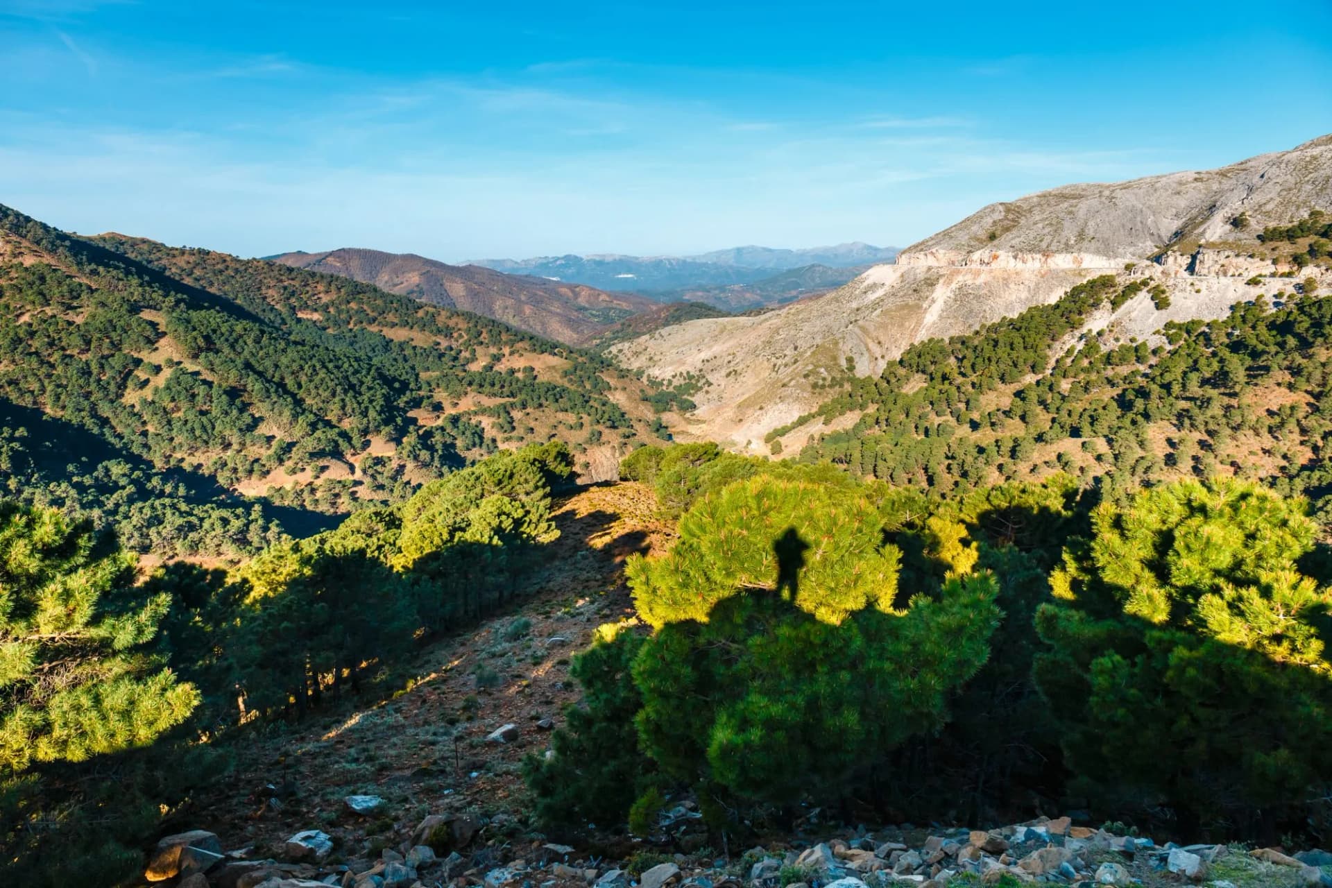 Mountain landscape of Sierra de las Nieves, Andalusia, Spain, with pine forests under blue sky.