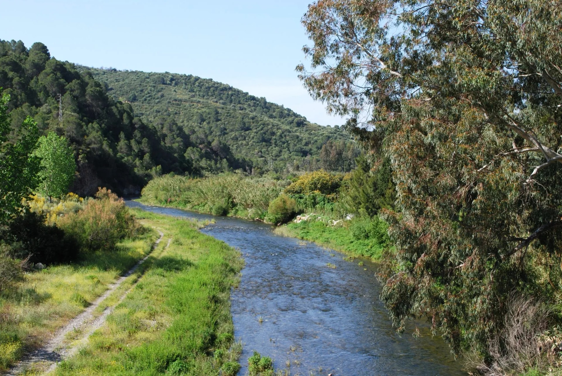 River Genal