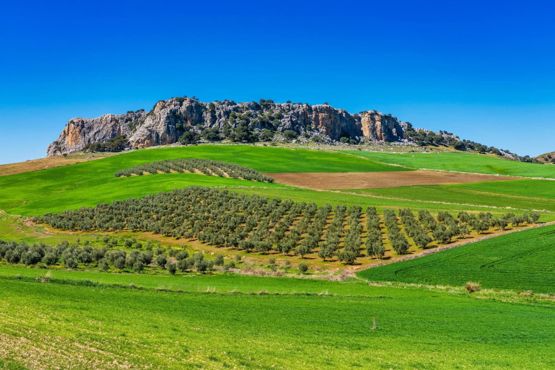 Landscape near Cuevas del Becerro andalusia