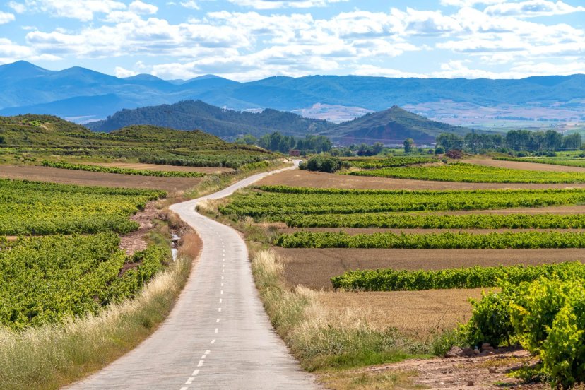 Den ultimata vinresan i Rioja