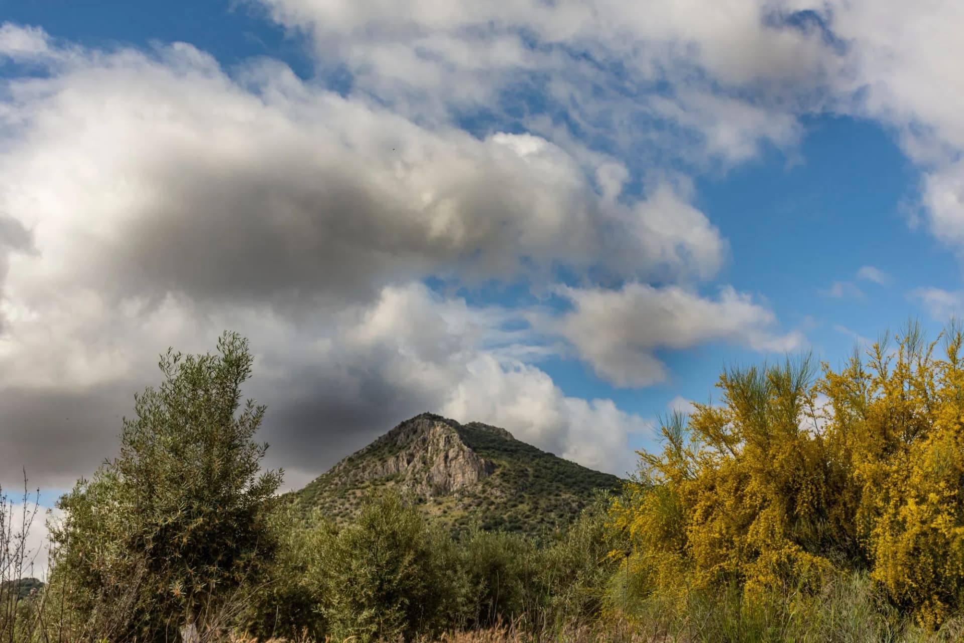 La Sierra de El Hacho en Estepa (Sevilla)