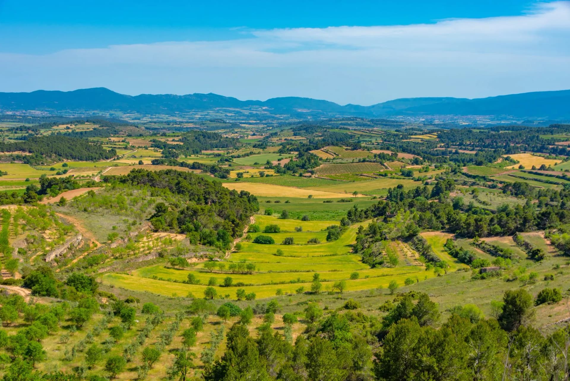 Agricultural landscape of Catalonia Spain