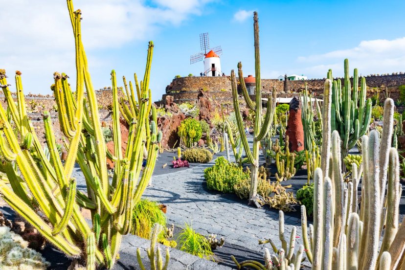 Cykelsemestrar på Lanzarote