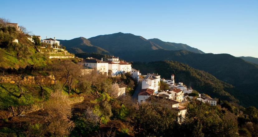 Sierra de las Nieves image 1