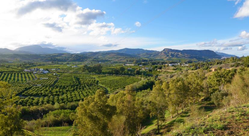 Guadalhorce Valley image 1