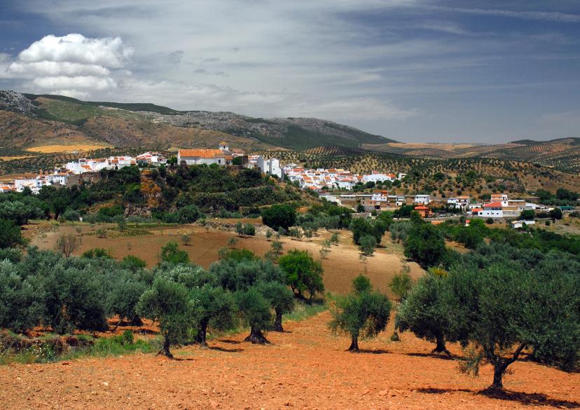 El Burgo image 1