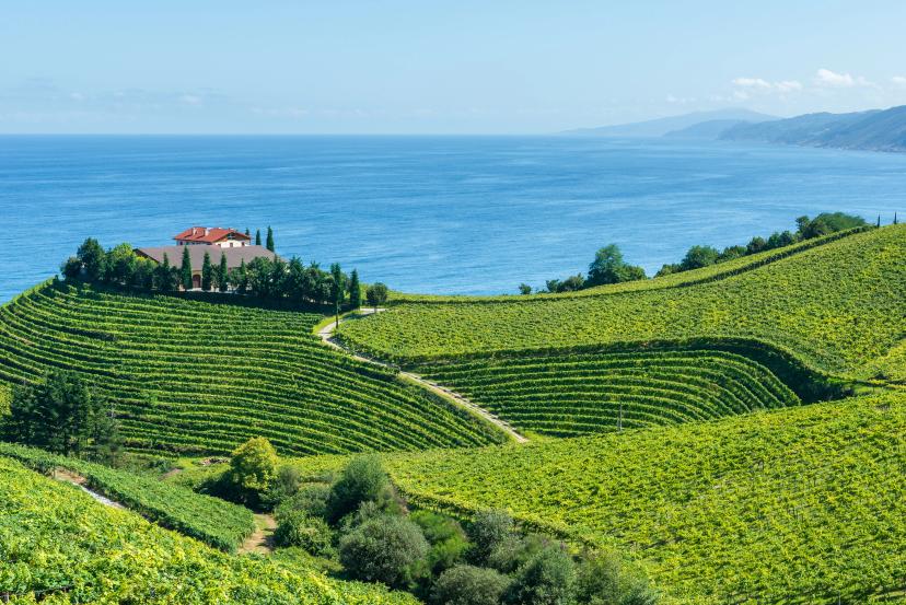 Getaria Wine Region image 1