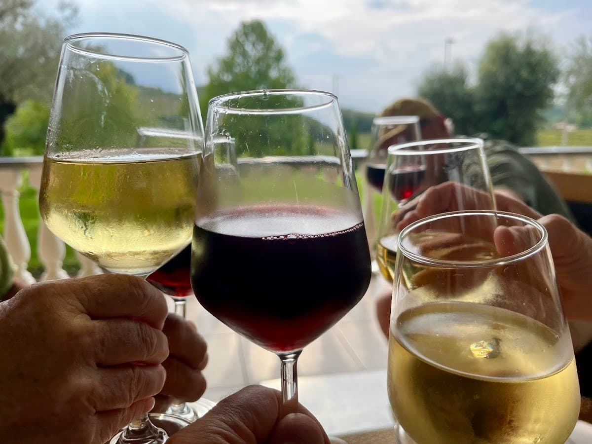 Toasting with white and red wine glasses outdoors with greenery in the background