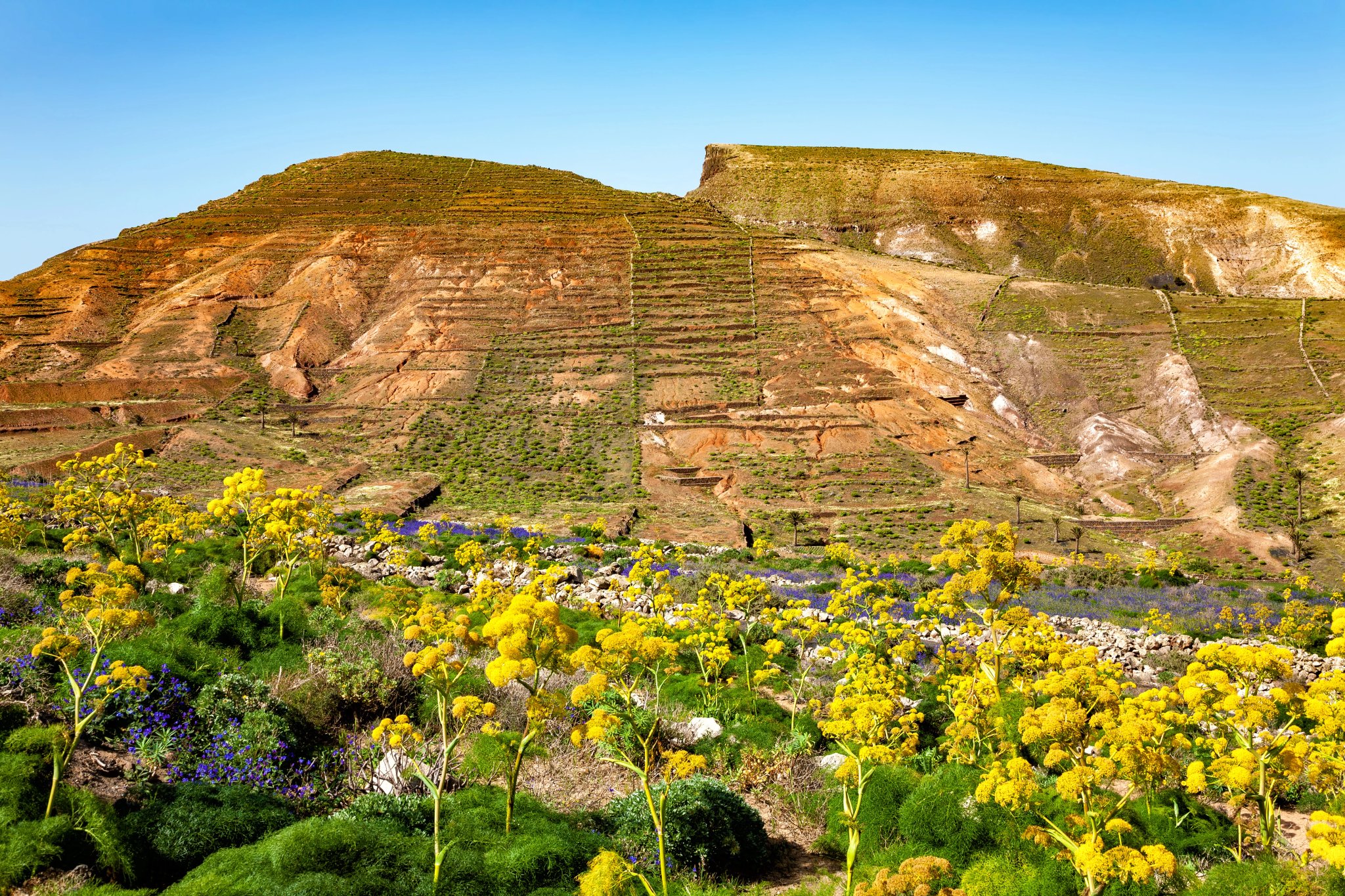 Mountain landscape, Island Lanzarote, Canary Islands, Spain, Europe.