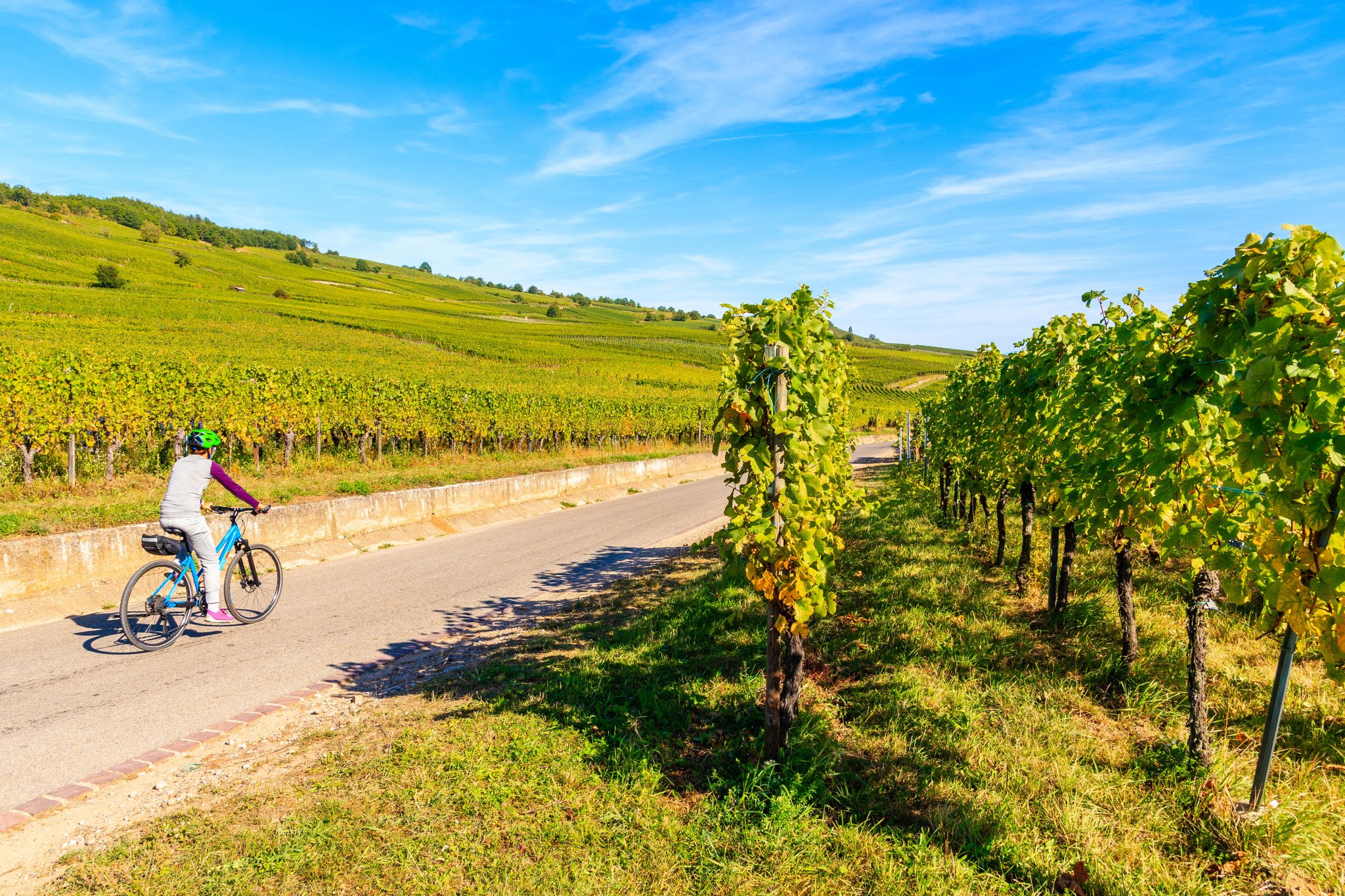 vineyard cycling spain, basque