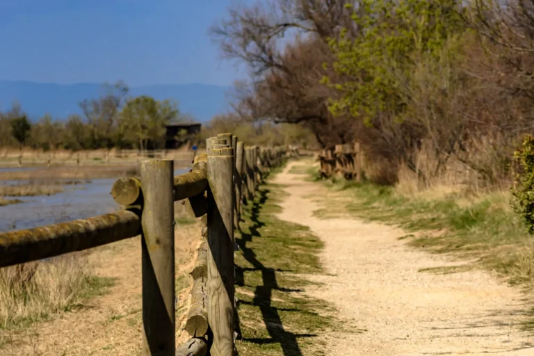 Riserva Naturale Aiguamolls de l'Empordà