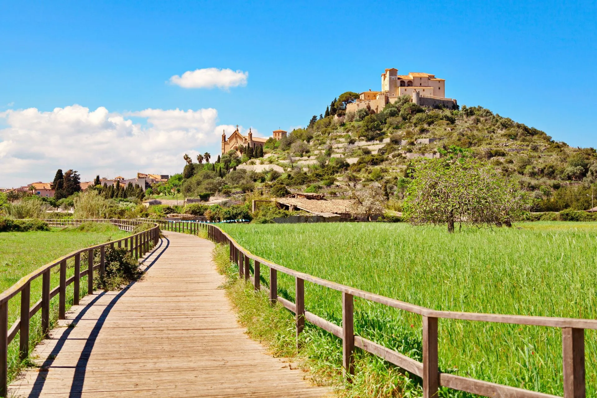 Mallorca Spania Arta Landschaft Sehenswürdigkeit