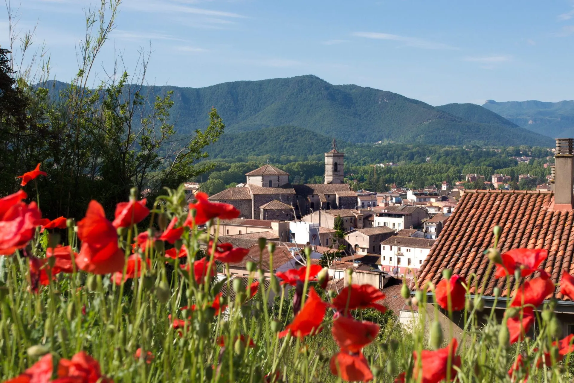 Old town Olot and volcanic mountains with poppy flowers in foreground