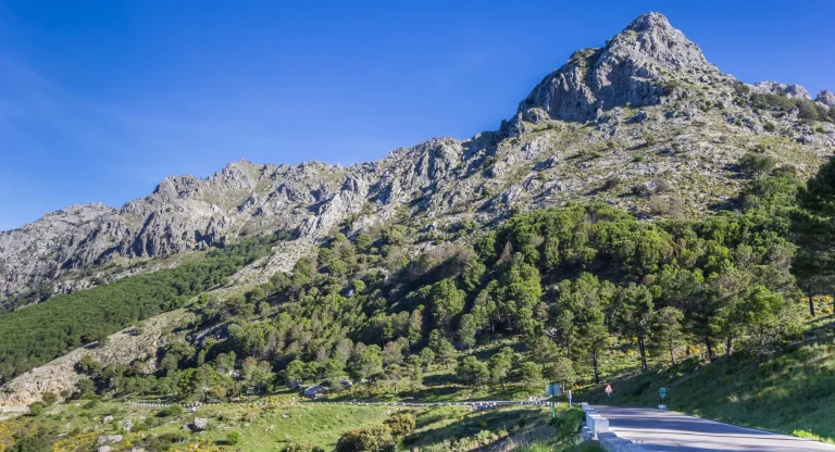 puerto del boyar grazalema