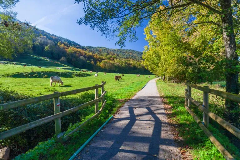 Ruta del Ferro, antica ferrovia trasformata in percorso a piedi o in bicicletta. Villaggi di Sant Joan de les Abadesses e Ripoll, nella zona di Ripolles, Catalogna, Spagna.