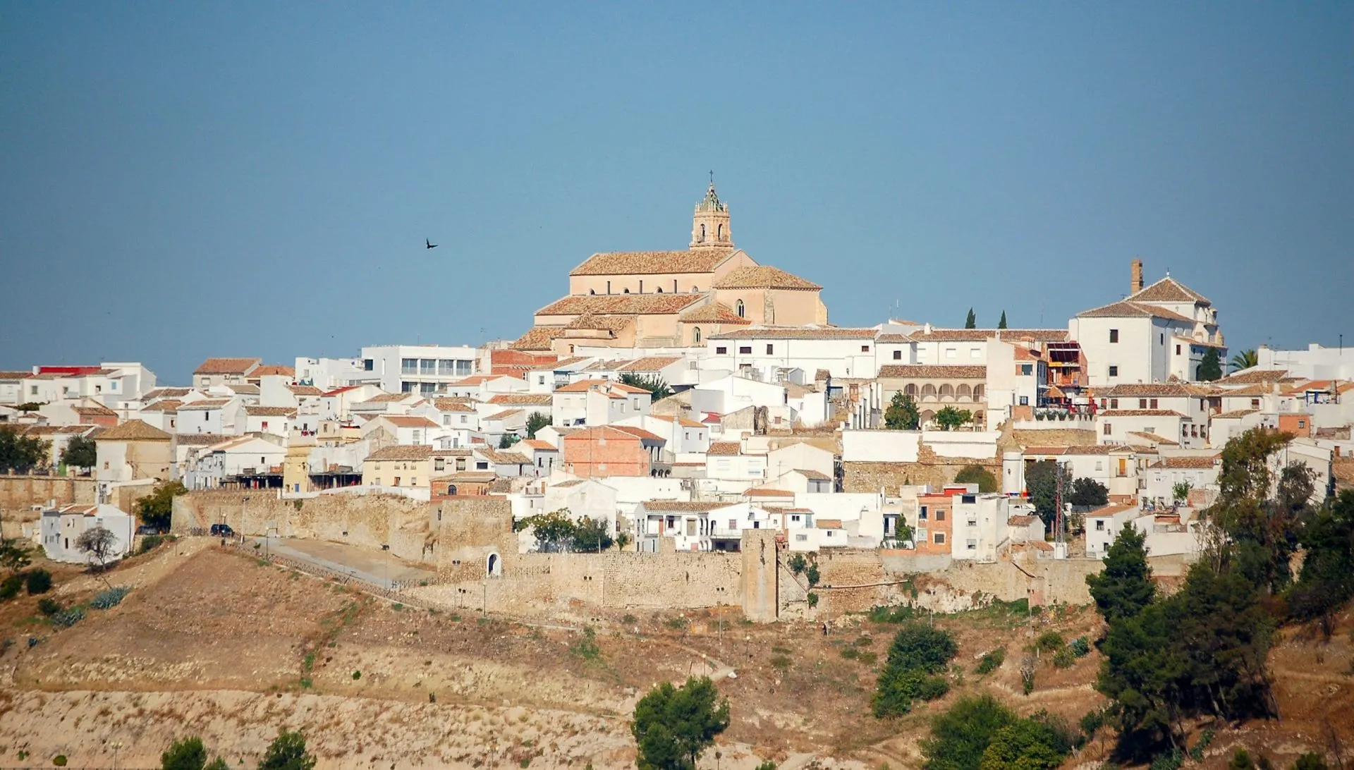 Santa Maria la Mayor-kirken mellom hvitkalkede hus og blå himmel - Baena, Andalucía, Spania